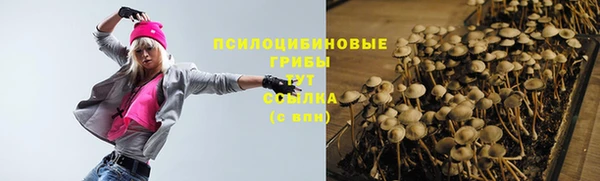 альфа пвп Армянск