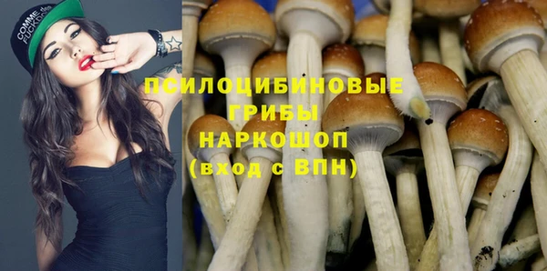 спайс Аркадак