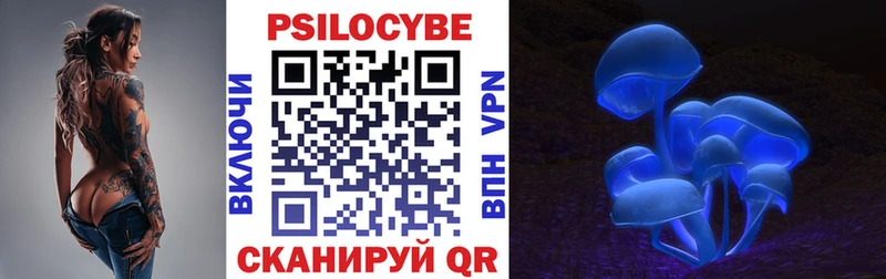 магазин продажи   Рошаль  Псилоцибиновые грибы GOLDEN TEACHER 